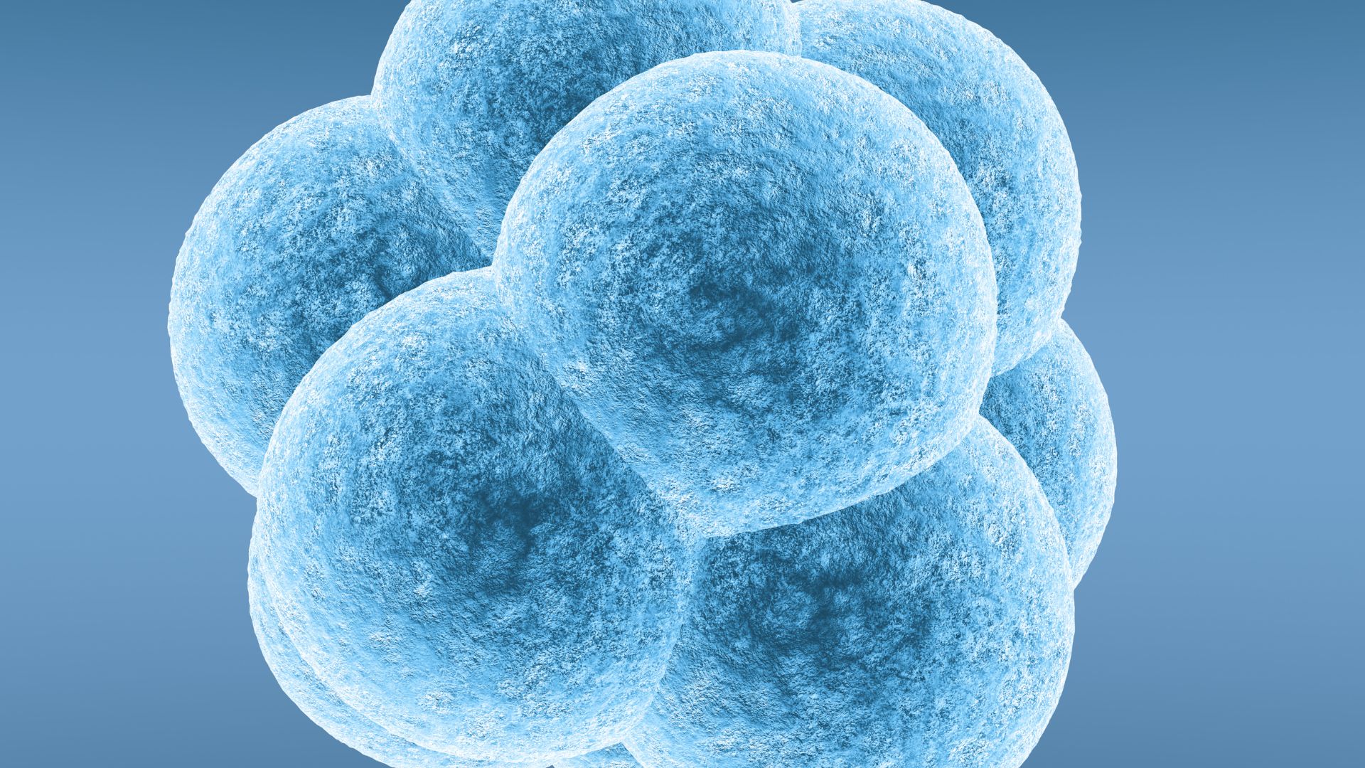 Understanding Mosaic Embryos